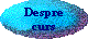 Despre curs